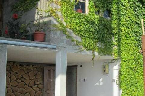 Частный дом «У Артёма и Сусанны»