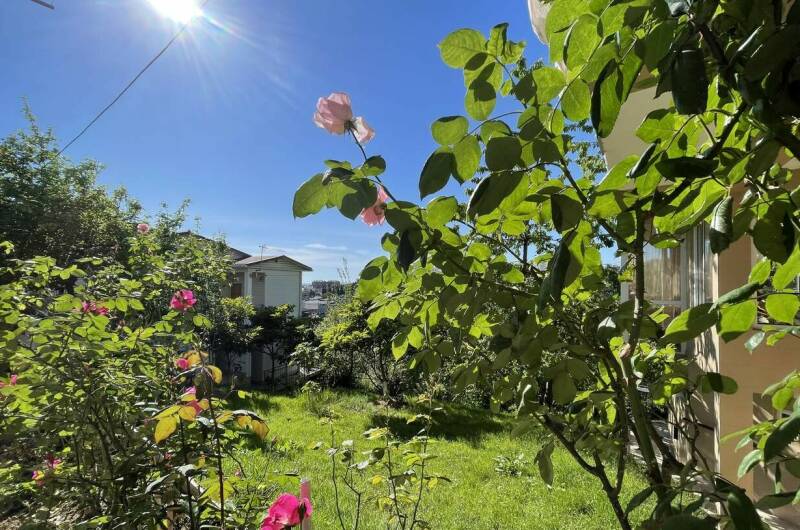 Гостевой дом «Анаида»