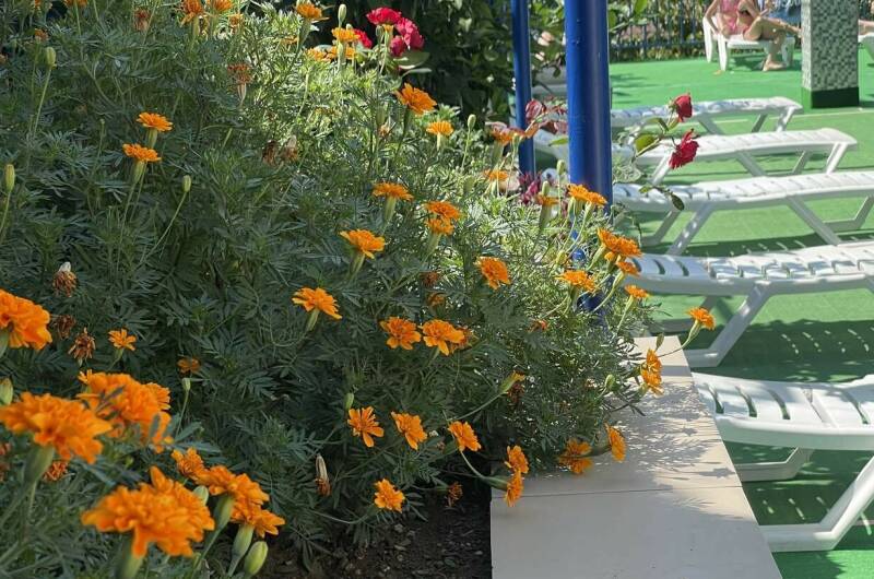 Гостевой дом «Анаида»