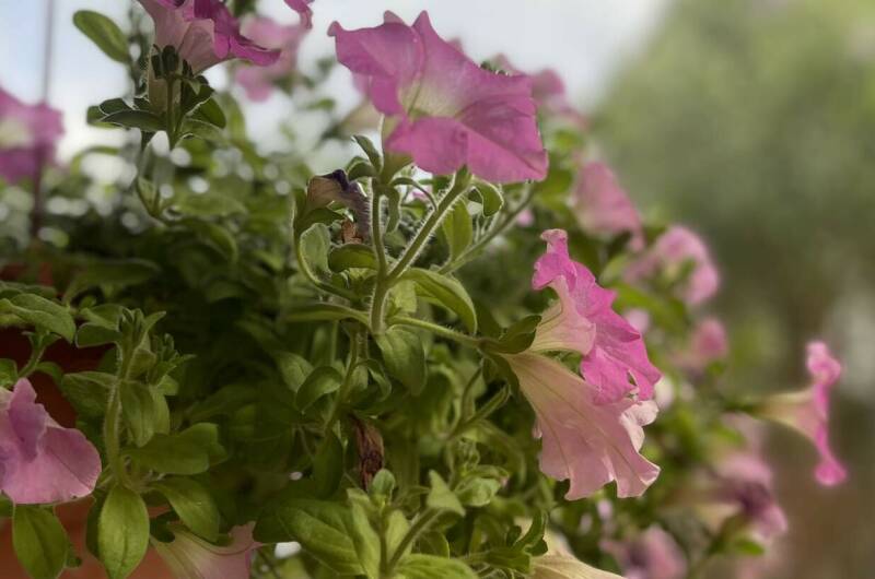 Эко-отель «Затерянный рай»