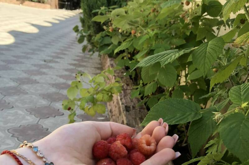 Частный сектор «Дом у реки»