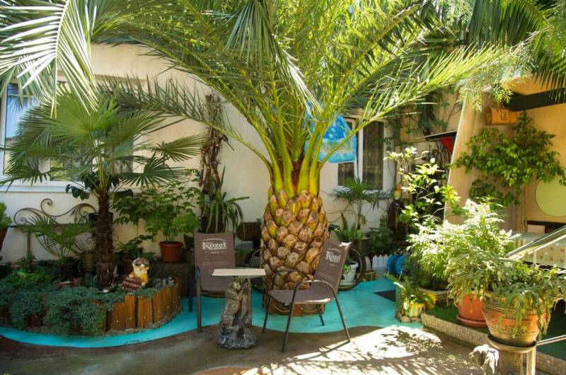 Гостевой дом «TipTop»