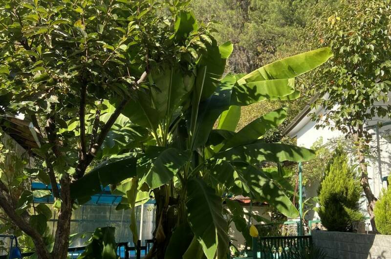 Гостевой дом «Ника»