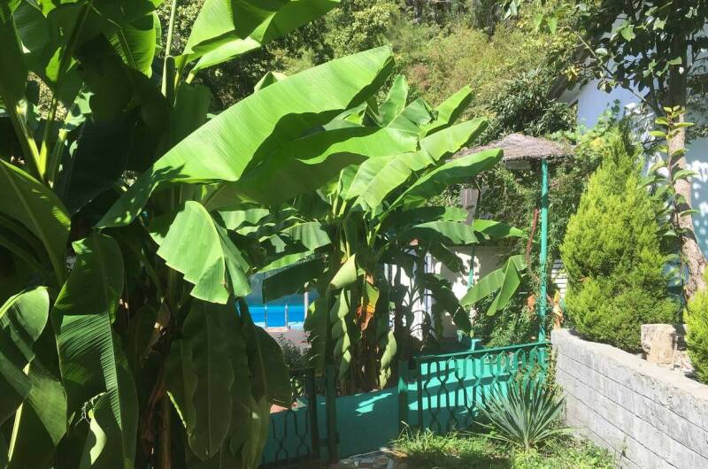 Гостевой дом «Ника»