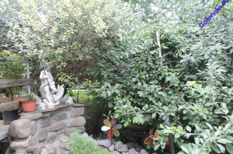 Гостевой дом «Пальмовая роща»