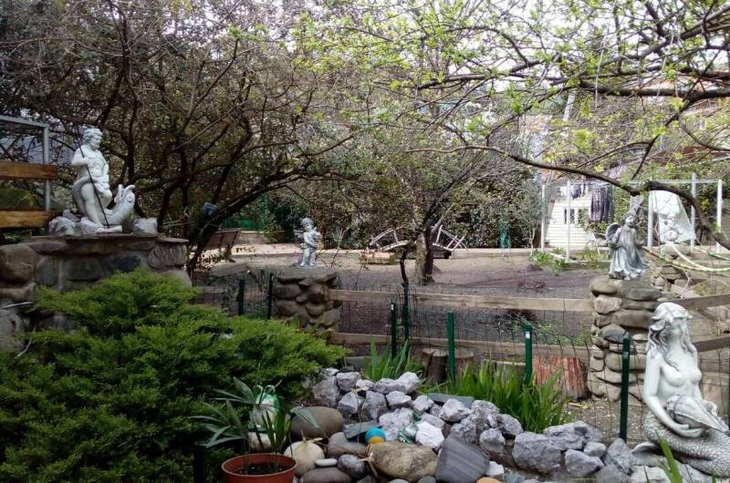 Гостевой дом «Пальмовая роща»