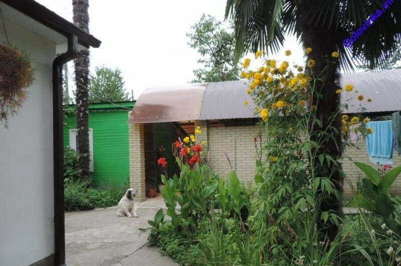 Гостевой дом «Пальмовая роща»