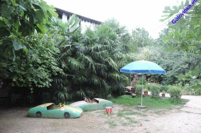 Гостевой дом «Пальмовая роща»