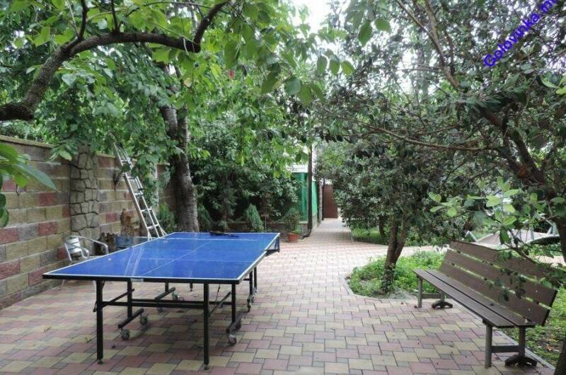 Гостевой дом «Пальмовая роща»