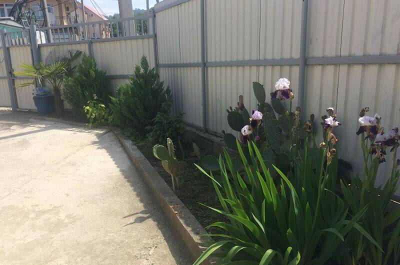 Гостевой дом «Магнолия»