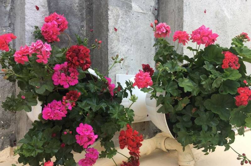 Гостевой дом «У Аси»