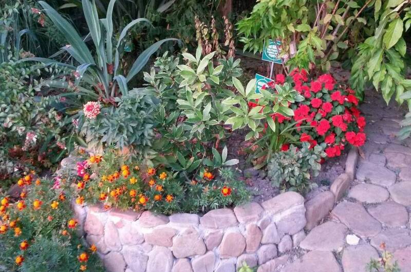 Мини-гостиница «Русалочка +»