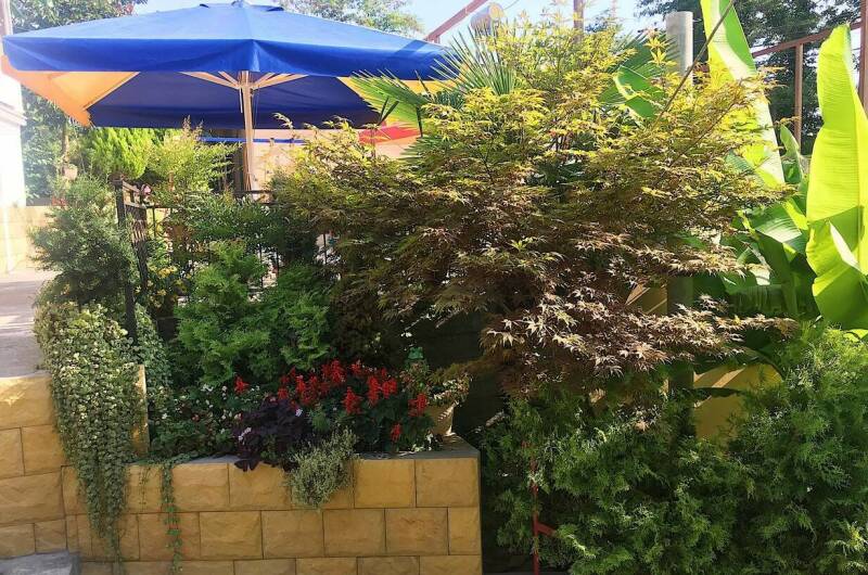 Гостевой дом «Ника»