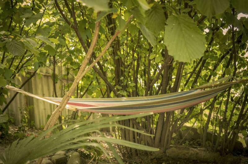 База отдыха «Сосновый бор»