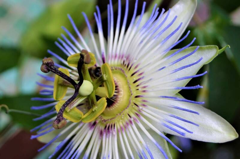 Гостевой дом «О, Море, Море»