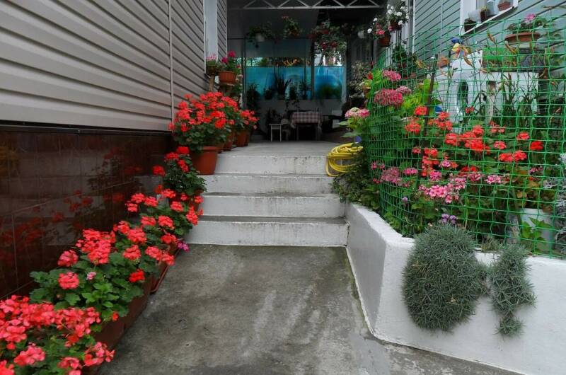 Частный сектор «Троянда»