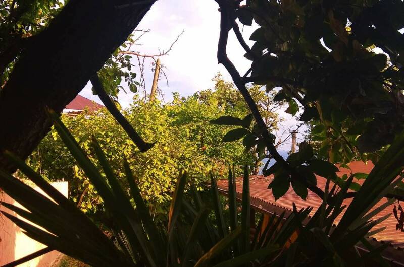 Гостевой дом «Натали»