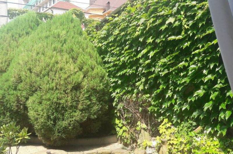 Гостевой дом «Натали»