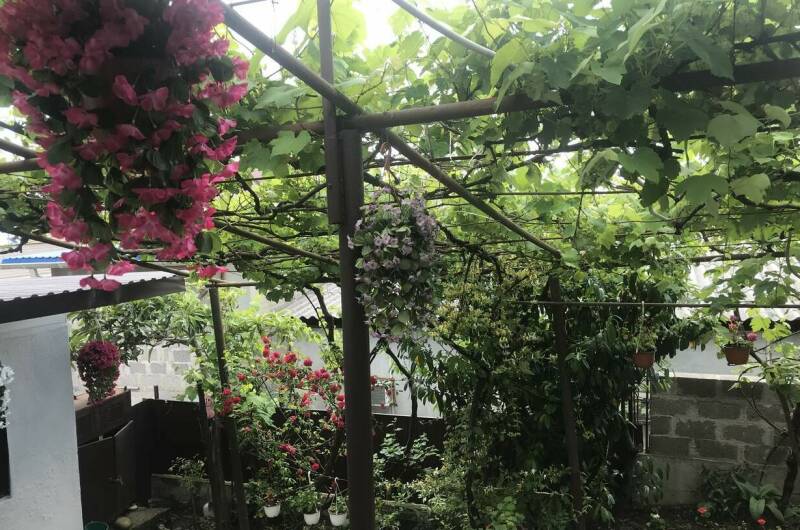 Гостевой дом «Ольга»