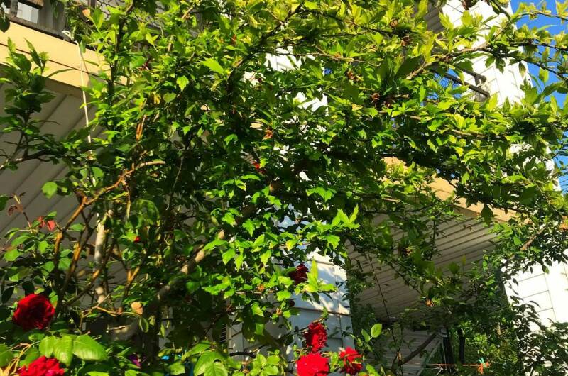 Гостевой дом «РиМ»