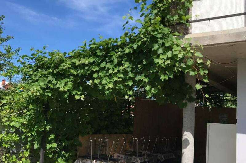 Гостевой дом «Валентина»