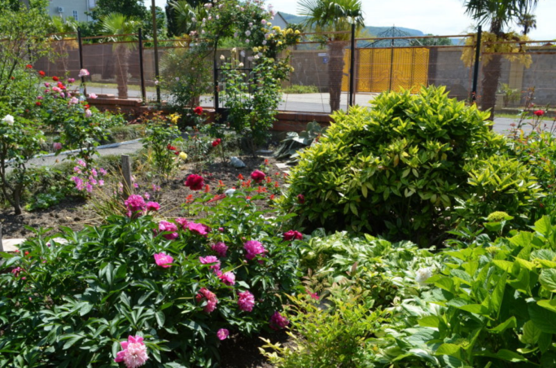 Частный дом «7 Пальм»