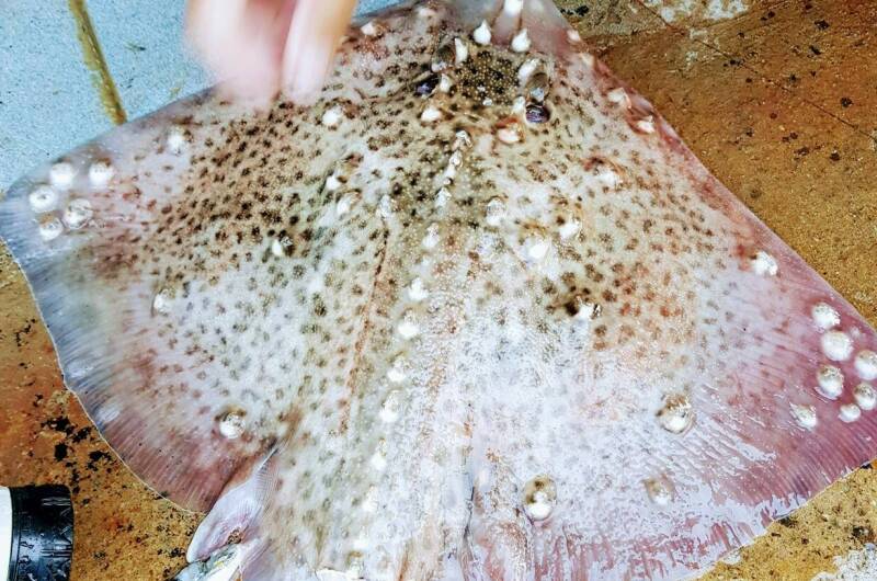 Гостевой дом «У Ивана»