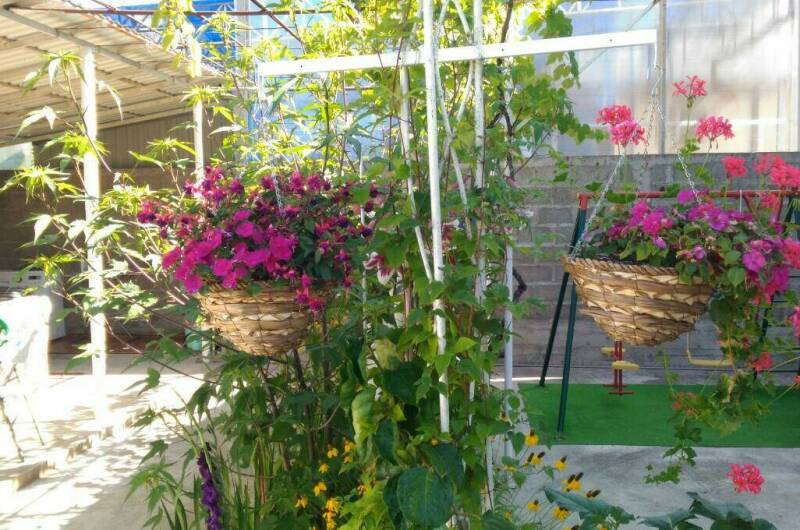 Гостевой дом «Квартирки у моря» (кухня в номере)