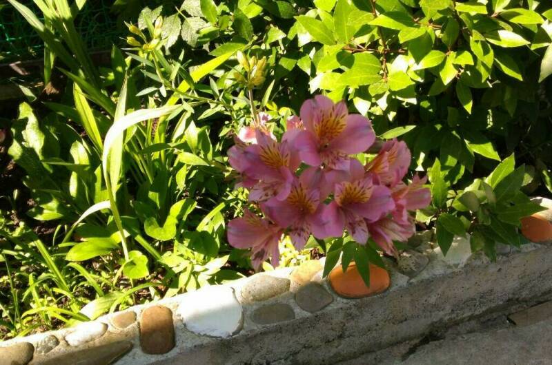 Гостевой дом «Квартирки у моря» (кухня в номере)