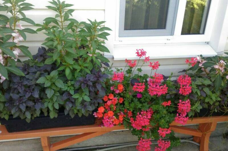 Гостевой дом «Квартирки у моря» (кухня в номере)