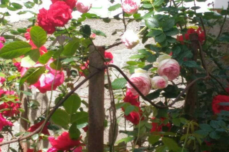 Гостевой дом «Квартирки у моря» (кухня в номере)