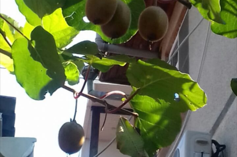 Двухкомнатная квартира на Демократической