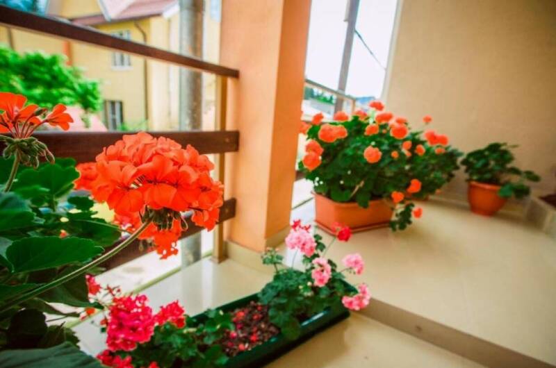 Гостевой дом «Лора»