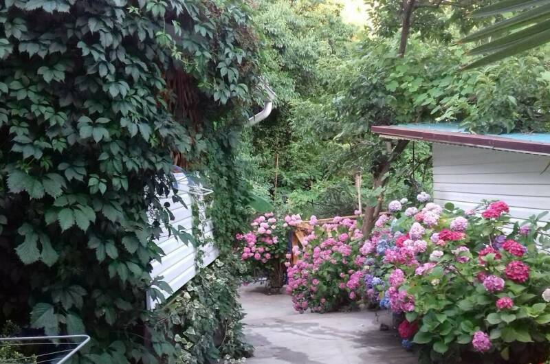 Гостевой дом «Вероника»