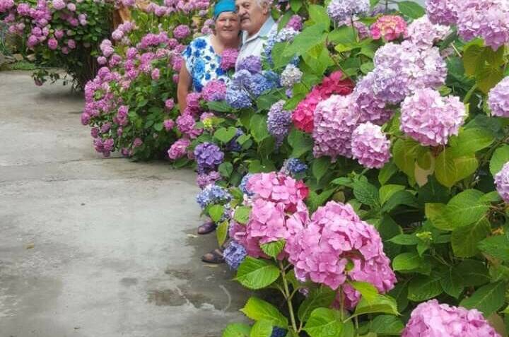 Гостевой дом «Вероника»