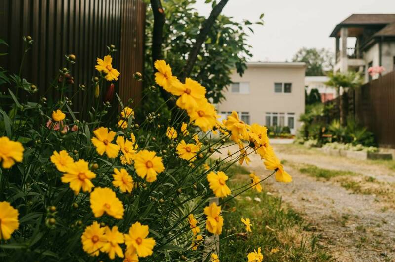 Гостевой дом «Лето»