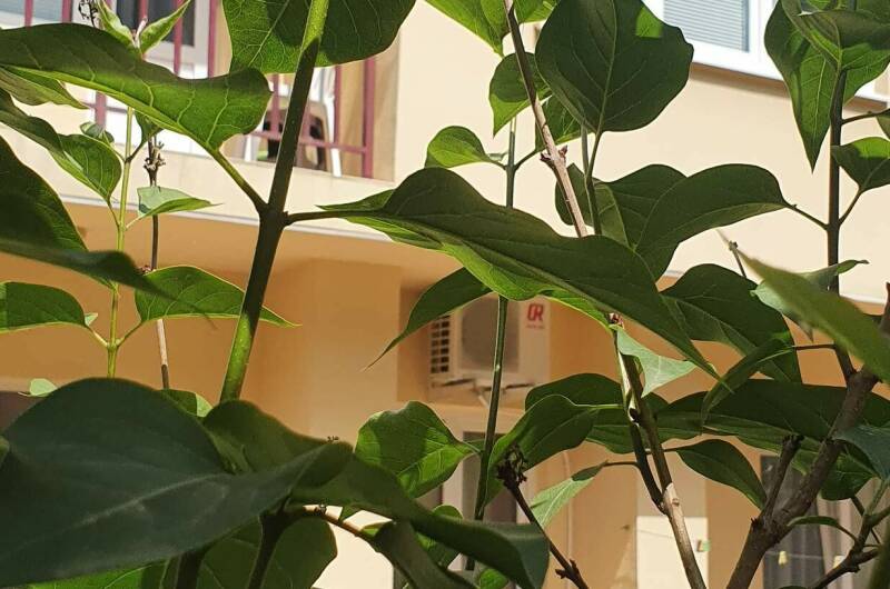 Гостевой дом «АйРита»