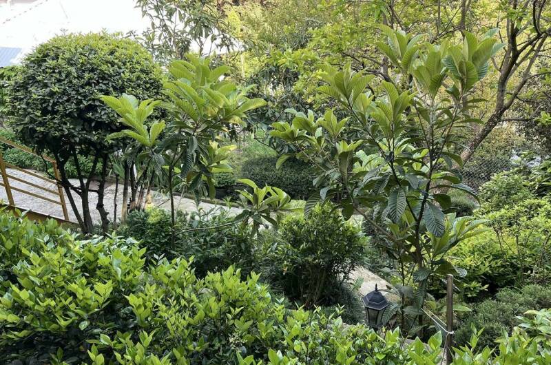 Коттедж «Агеевъ»