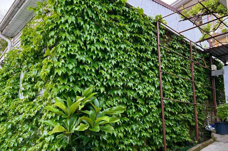 Коттедж «Агеевъ»