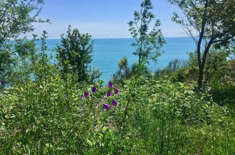 Коттедж «Калиновка»