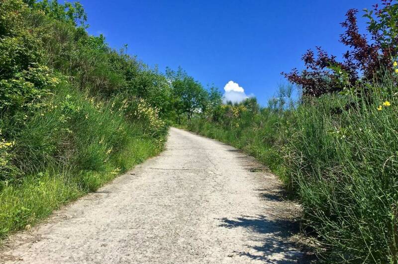 Коттедж «Калиновка»