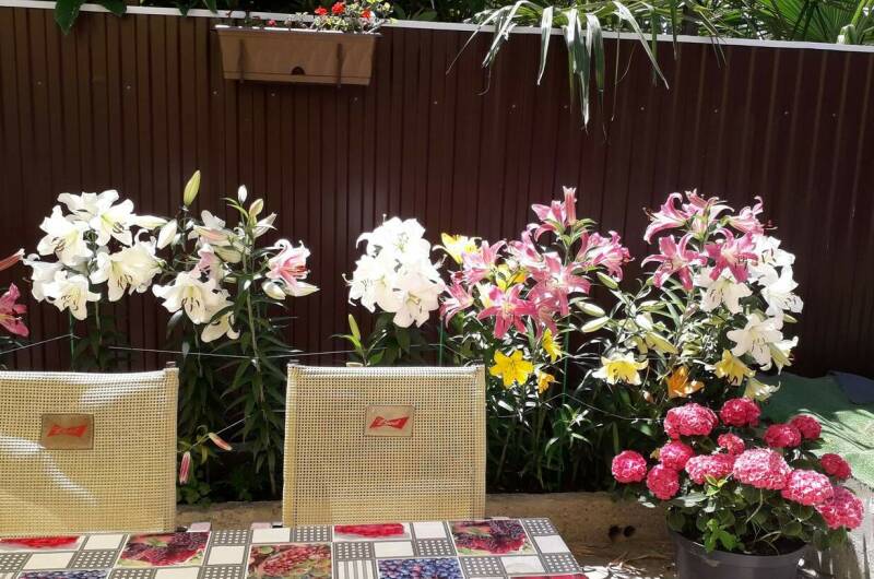 Гостевой дом «У Валентины»