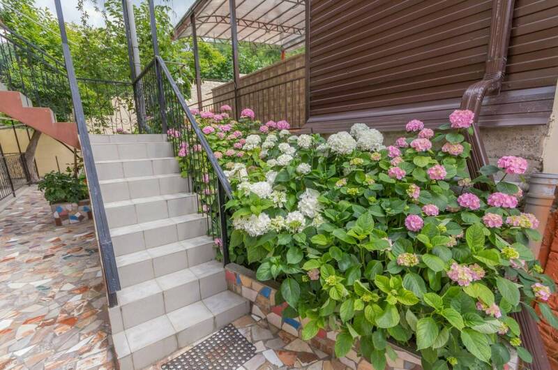 Частный сектор «Горная фиалка»