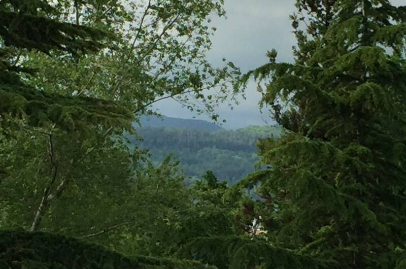 Гостевой дом «Ланета»