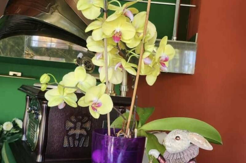 Гостевой дом «Ланета»