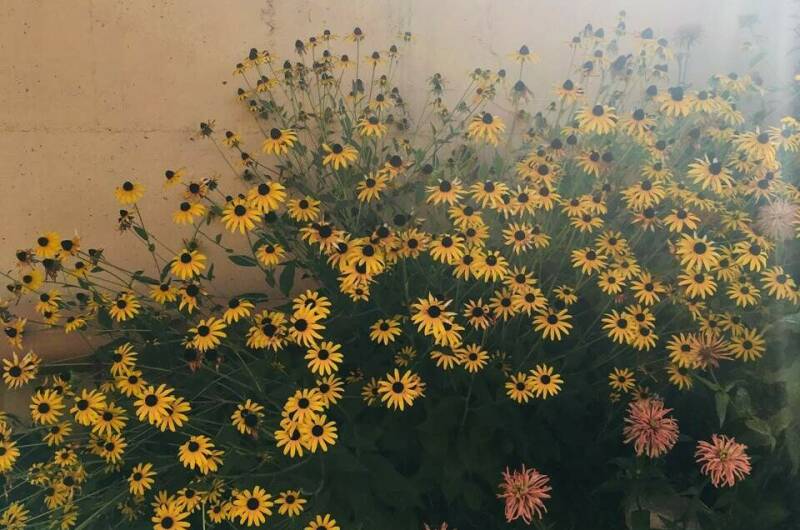 Гостевой дом «Виолетта»