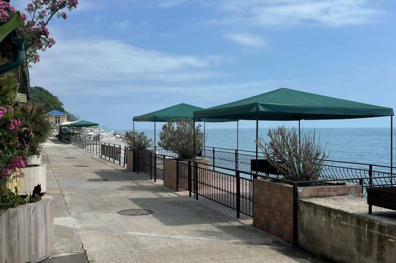 Эллинг «19−20»