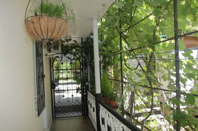 Гостевой дом «Алена»