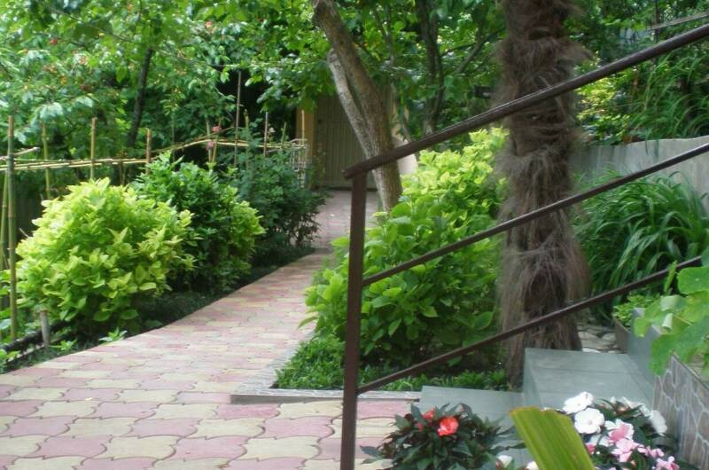 Частный дом «Бамбуковая роща»