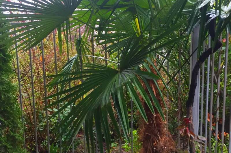 Гостевой дом «Морской Бриз»